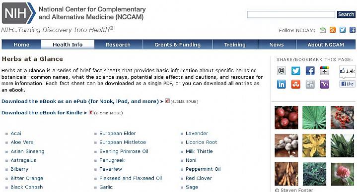Screen capture of the homepage for Herbs at a Glance.