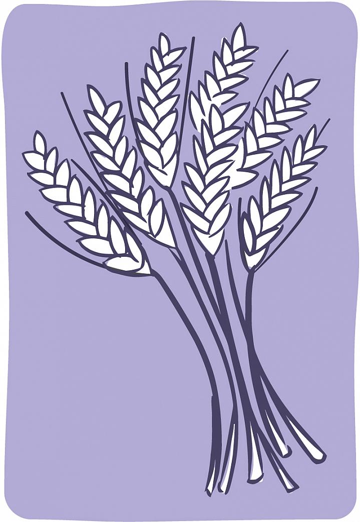 Illustration of a sheaf of wheat Illustration of a sheaf of wheat.
