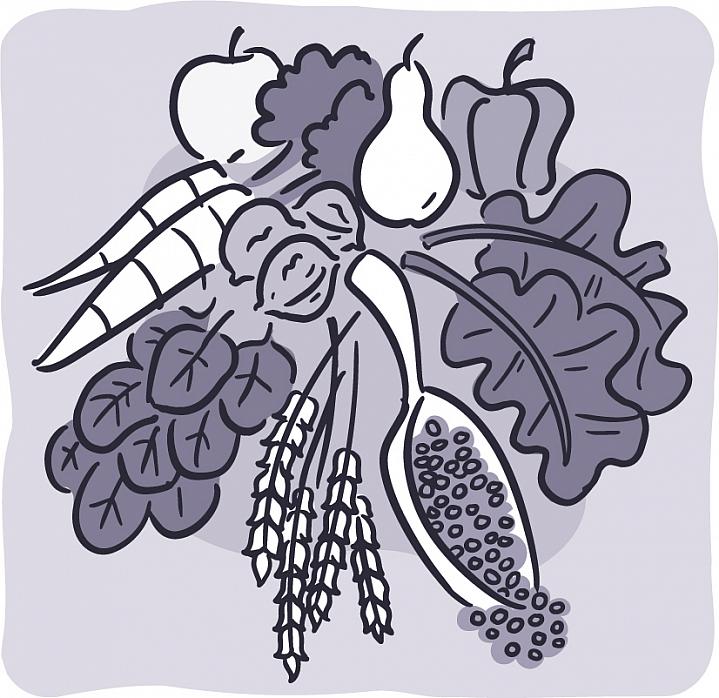 Illustration of fruits, vegetables, and grains Illustration of fruits, vegetables, and grains.