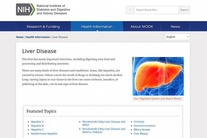 Screenshot of the liver disease website Screenshot of the liver disease website