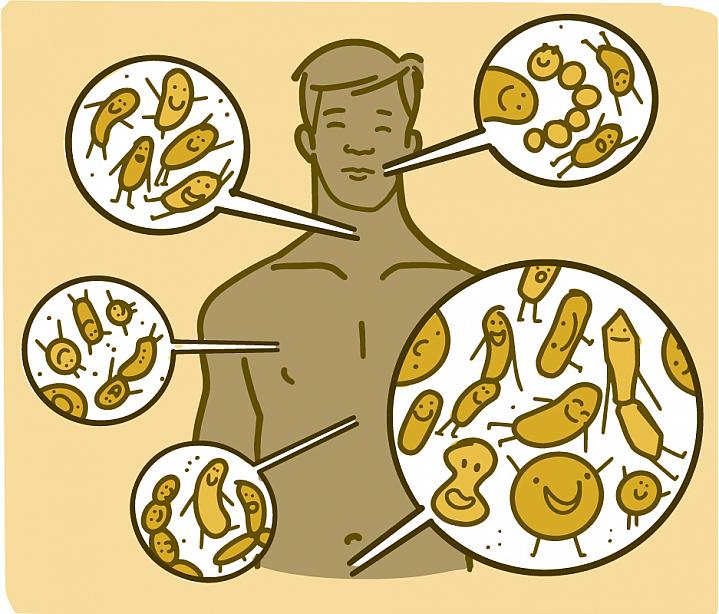 Illustration showing where microbes live on the body of a man