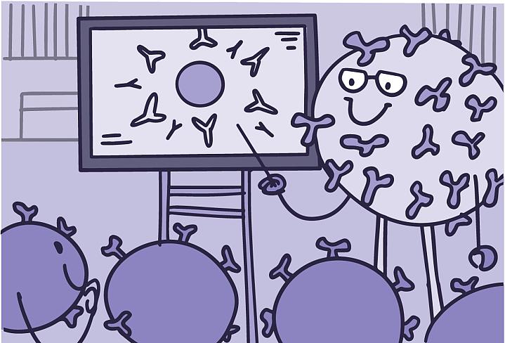 Illustration of immune cells being taught by a teacher in a classroom